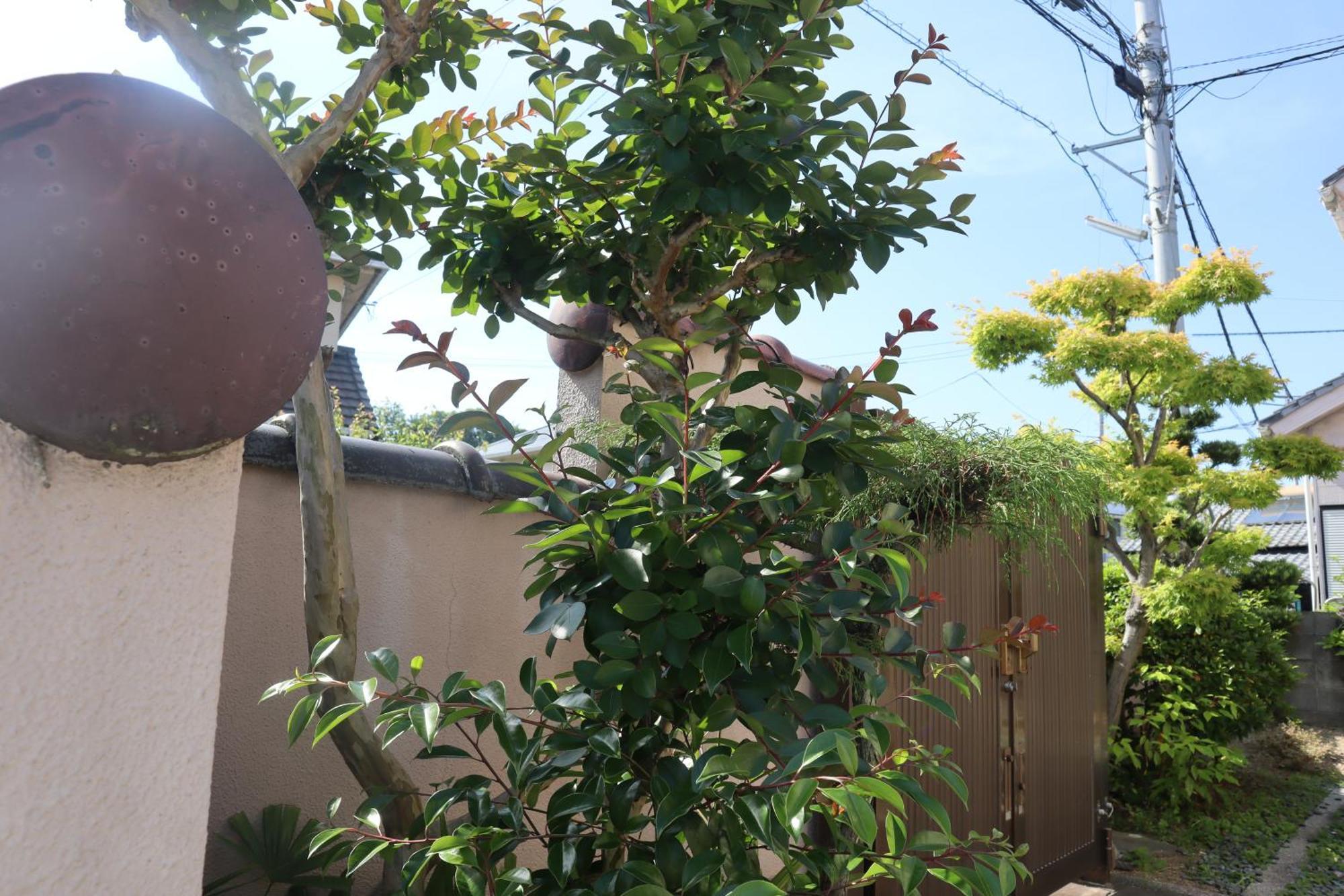 הוילה מטסויאמה 立花荘 מראה חיצוני תמונה